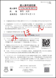 Individual Number Notice